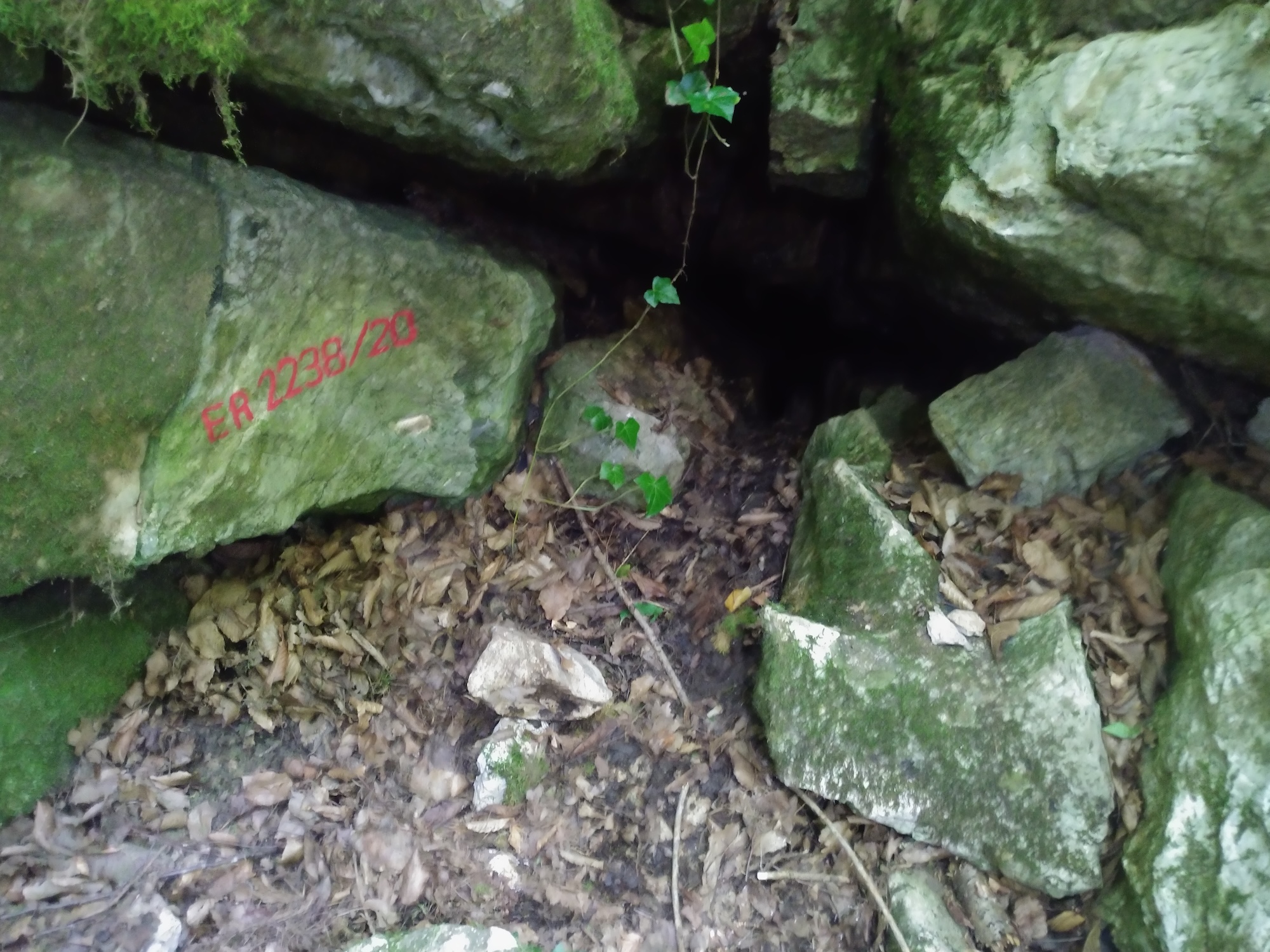 Peștera Raicovacea - Image 1